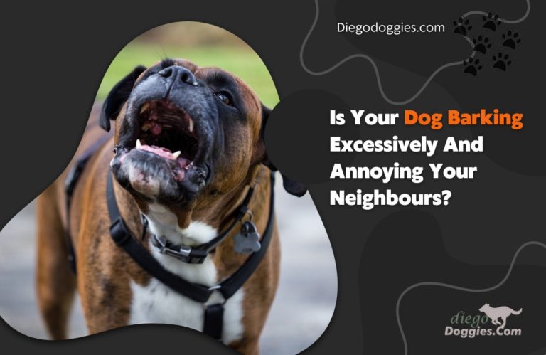 Is Your Dog Barking Excessively And Annoying Your Neighbours?