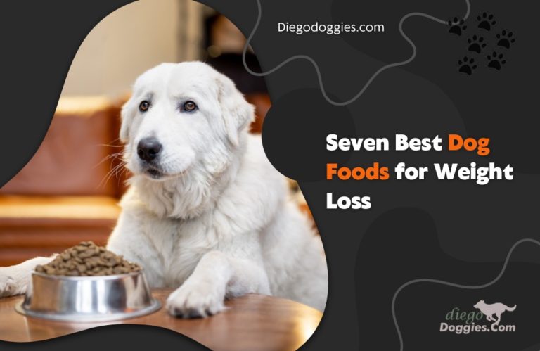 Seven Best Dog Foods for Weight Loss