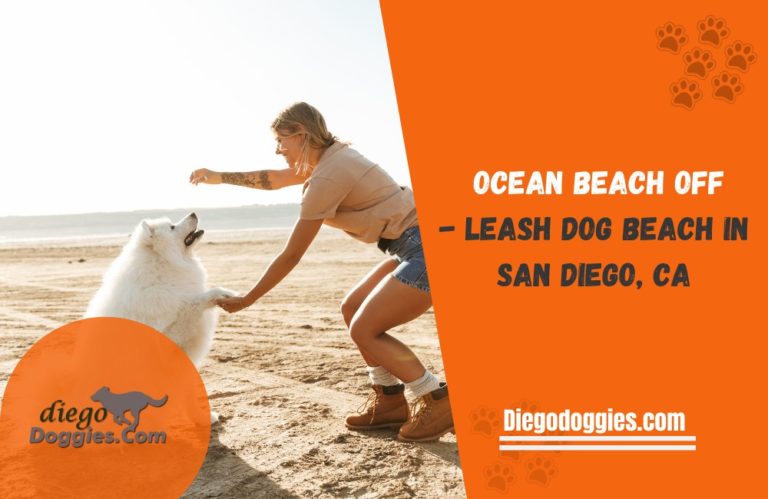 Ocean Beach Off-Leash Dog Beach in San Diego, CA