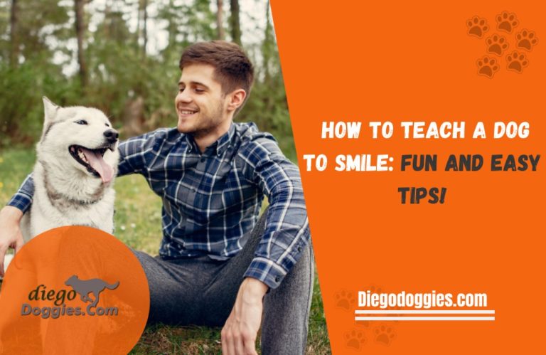 how-to-teach-a-dog-to-smile-fun-and-easy-tips